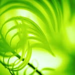 paul renneberg - @paulrenneberg - Instagram