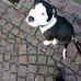 Paul Rettberg Rettberg - Facebook