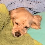 Paul Richey - @whyningh707 - Instagram