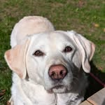 Paul Rickards - @paulrickards4 - Instagram