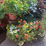 Paul Ricker - @paulricker - Instagram
