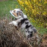 Paul Rickert - @paul.rickert - Instagram