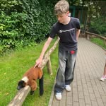 Paul - @paulries2011 - Instagram