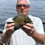 Paul Ries - Facebook