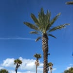 Paul Rieser - @paulrieser - Instagram