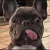 Paul riffle - @1paul.riffle - TikTok