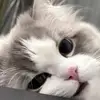 Paul Rio - @paul.rio0 - TikTok