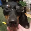 Paul Ritchie - @pauleritchie - TikTok
