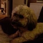 Paul Ritchie - @paulr.itchie - Instagram