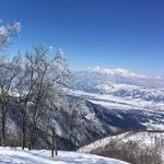 Paul Roach - @paulroach79 - Instagram