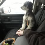 Paul Roberge - @browning22250 - Instagram