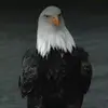 Paul R - @paul.robison7 - TikTok