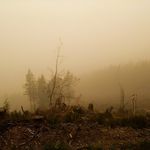 Paul Robison - @robisonmyguy1809 - Instagram