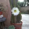 Paul Robison - @paulrobison3 - TikTok