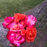 Paul Rochelle - @paul.rochelle.5 - Instagram