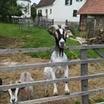 Paul Roder - @paul.roder.90 - Instagram