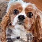Paul Roediger - @paulroediger - Instagram