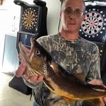 Paul Rogge - @paulrogge1030 - Instagram