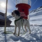 Paul Martin Rohner - @paulmrohner - Instagram