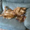 Paul - @paulrohrer1963 - TikTok