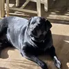 PAUL ROHRER - @paul.rohrer25 - TikTok