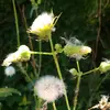 paulrohrer573 - @paulrohrer573 - TikTok