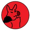 paulrohrs - @paulrohrs - TikTok