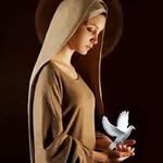 Paul Roldan - @paulroldan40 - Instagram