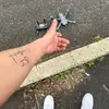 paulroldan08 - @paul.roldan51 - TikTok