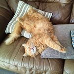 Paul Rolf - @paulrolf_ - Instagram