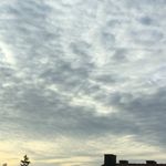 Paul Rolf - @paul_rolf - Instagram