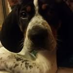 Paul Rolfe - @paul.rolfe.12 - Instagram