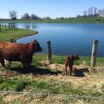 Paul Rooksberry Jr. - @paulrooksberry - Instagram