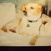 paulrooks975 - @paulrooks975 - TikTok