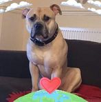Paul Rowlands - Facebook