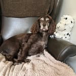 Paul Rowlands - @rowlands4702 - Instagram