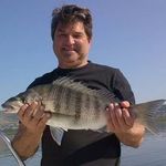 Paul Rowlands - @rowlands6090 - Instagram
