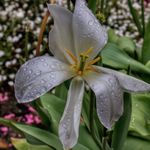 Paul Royle - @paul_royle_photography - Instagram