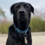Paul Ruby - @paulruby44 - Instagram