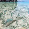 Paul Ruffin - @paul.ruffin4 - TikTok