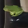 paultrumble - @paultrumble - TikTok