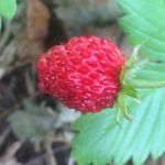 Paul Rung - @paul_rung - Instagram