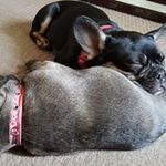 Paul Rush - @paul.rush.54379 - Instagram
