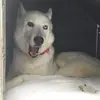 Paul rush - @paul.rush54 - TikTok