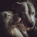 Paul Rush - Facebook