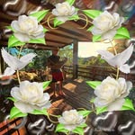 Paul D. Rutledge - @pauld.rutledge - Instagram