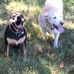 Paul Rutledge - Facebook