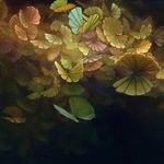Paul Saari - @paul_saari - Instagram