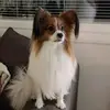 paulavaajasaari - @paulavaajasaari - TikTok