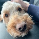 Paul Sabella - @flag_cash_tournaments - Instagram